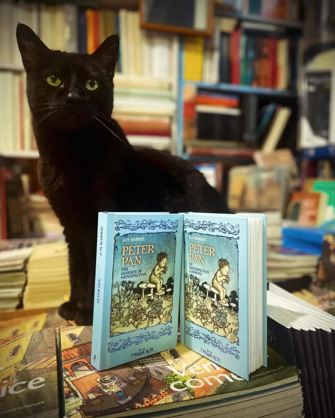 Books available from the viral Libreria Acqua Alta in Venice
