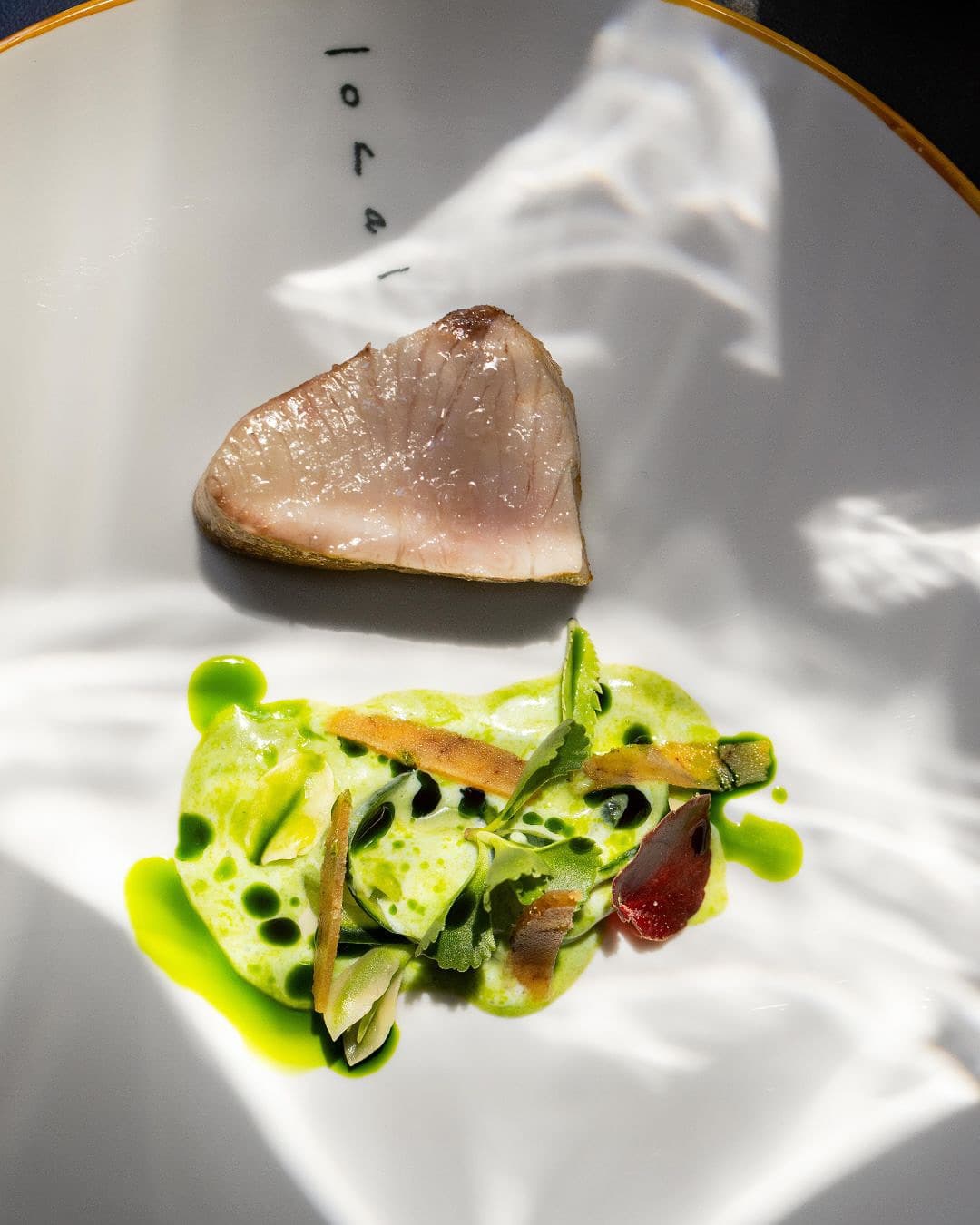 Tuna belly fillet