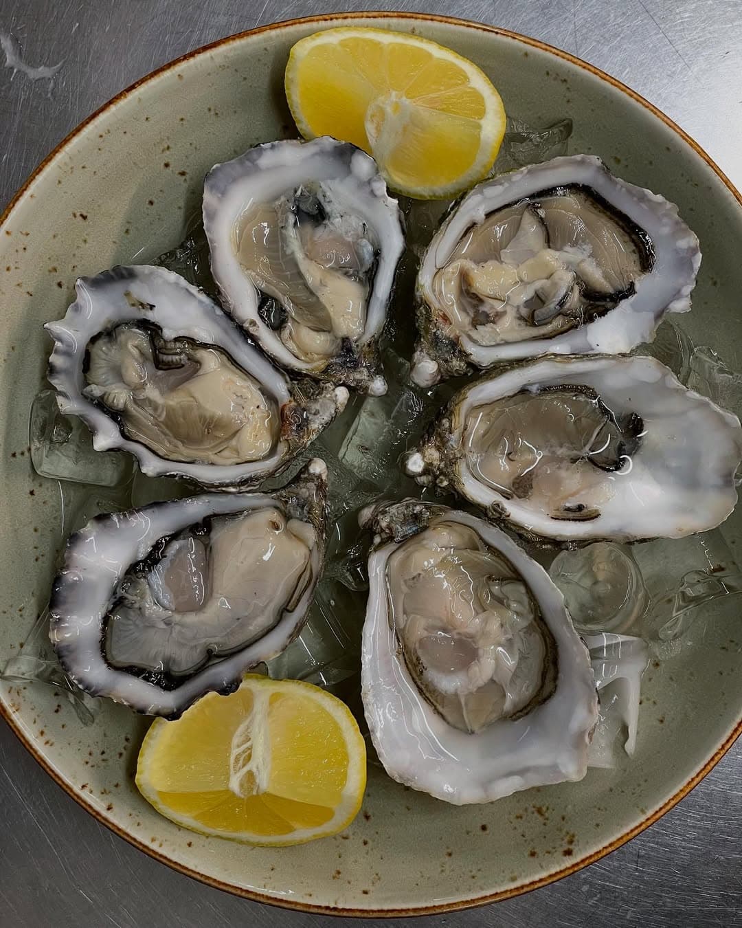 Fresh oysters