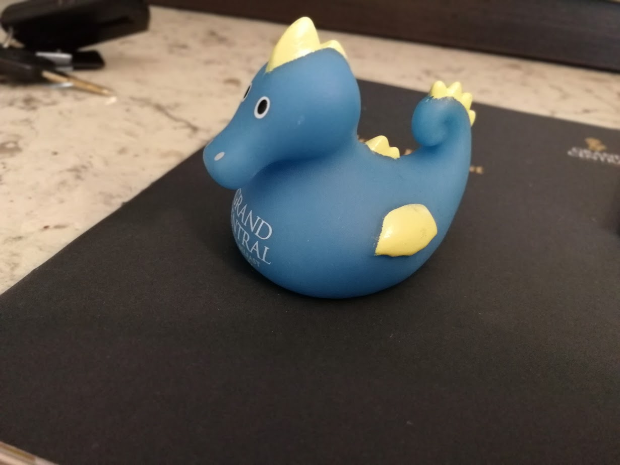 a rubber duck seahorse from grand central hotel belfast