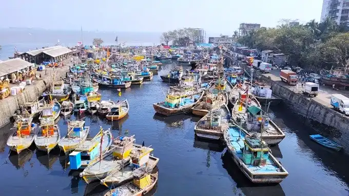 Sassoon docks in Mumbai, India