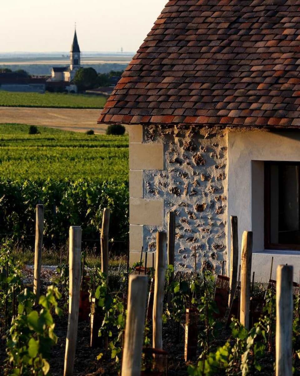 a stone building surrounded by vines with a church in the background at pierre palliard vineyard near reims in champagne champagne france