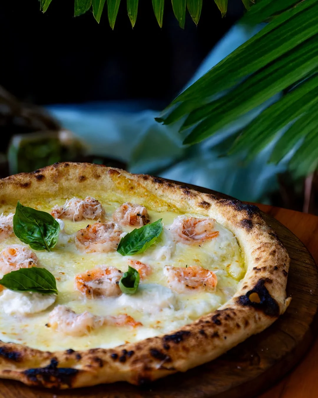 Naples style pizza with thicj crusts and thin base