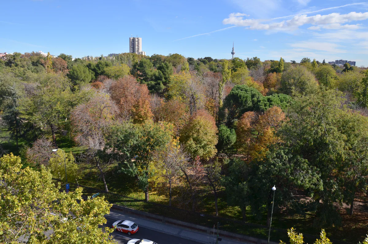 view of trees in retiro park from savoy alfonso xii hotel in madrid spain
