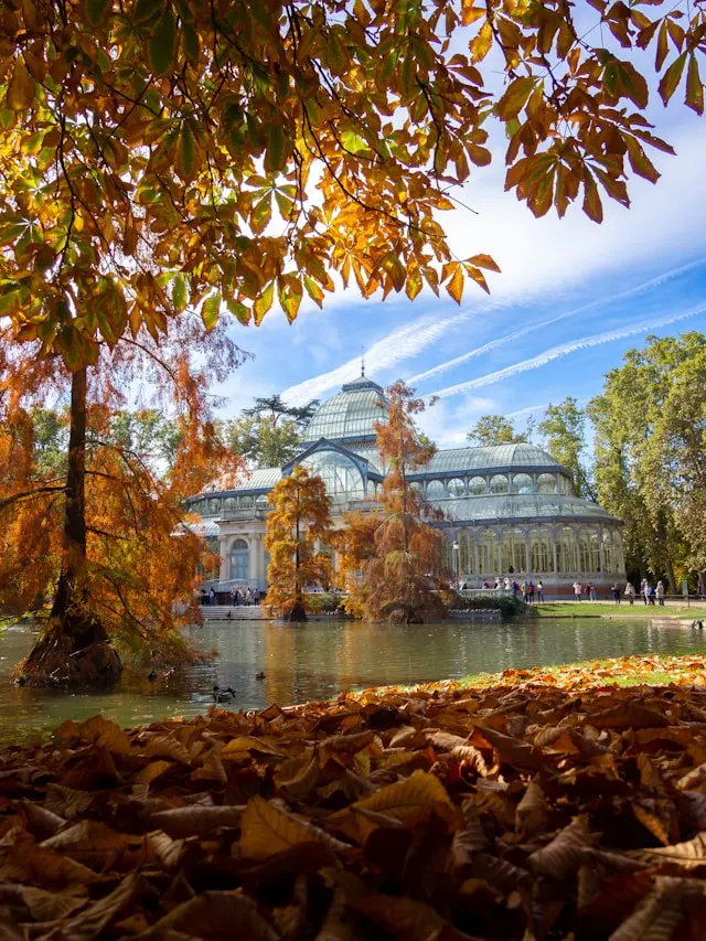 the glass palace palacio cristal in retiro park madrid spain with a tree and lake in the foreground
