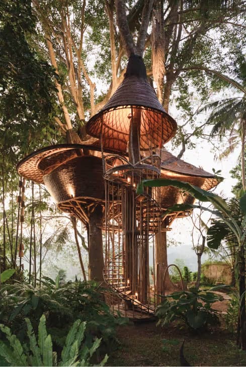 Mushroom pixie shaped treehouse