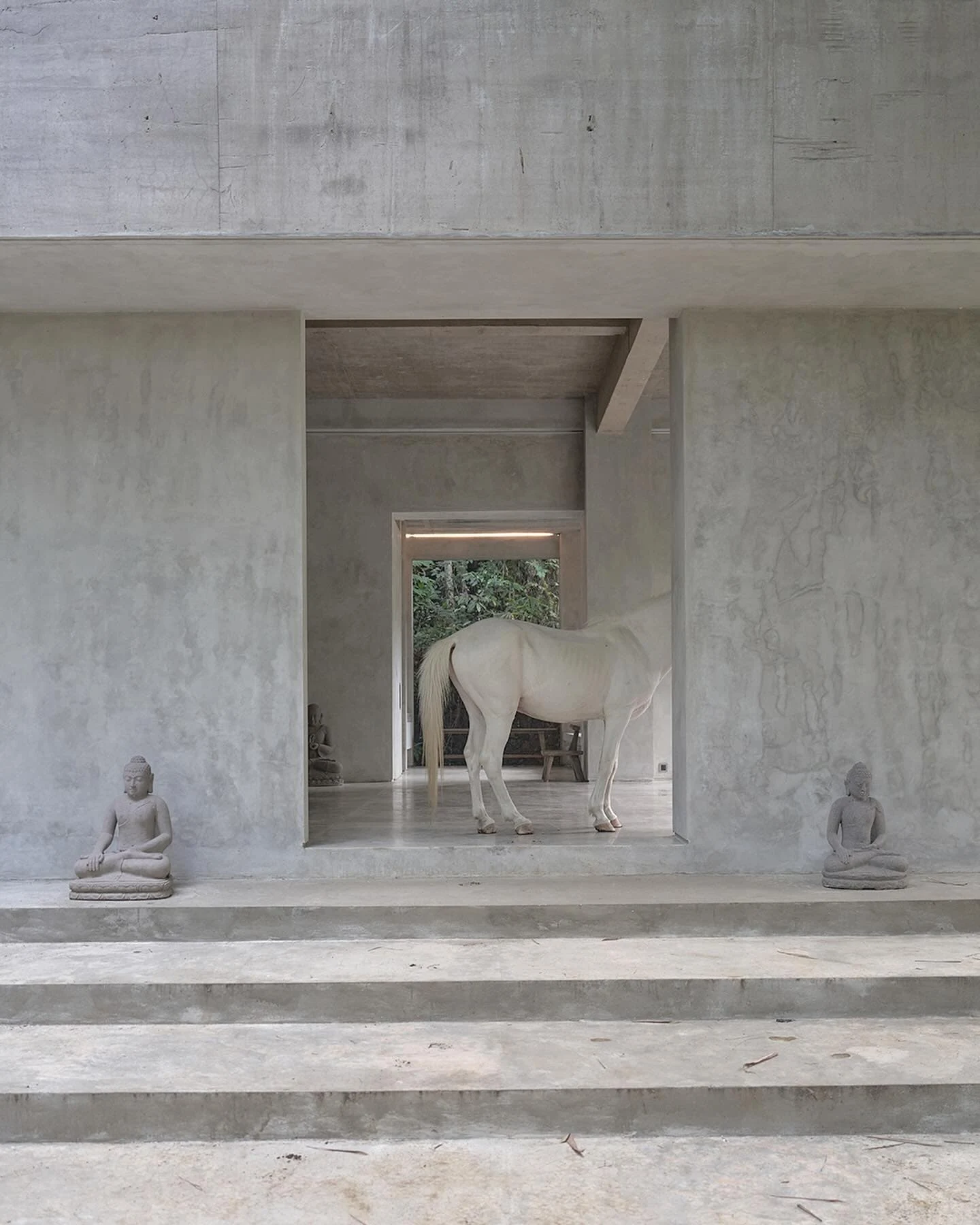 Horse roaming through the property