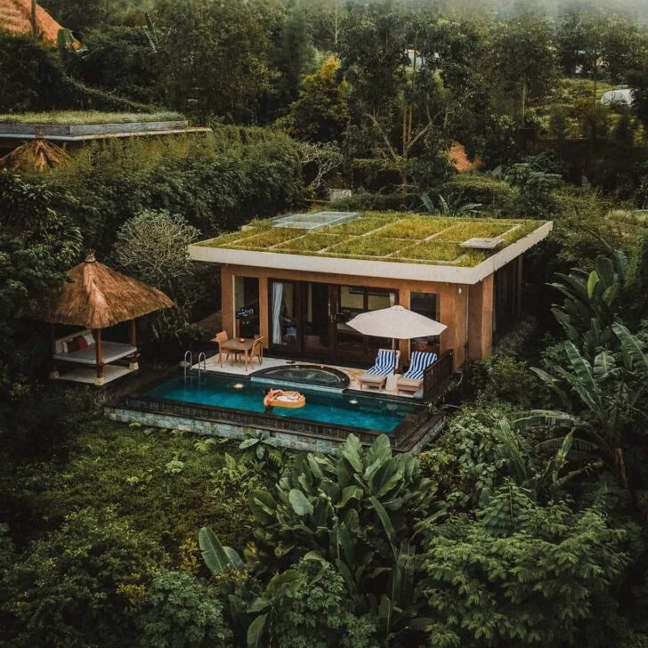 Villa with garden rooftop in coffee plantation