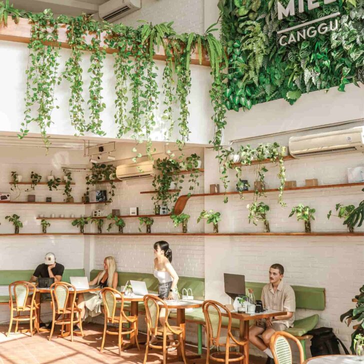 Green and white interiors with loads of natural light