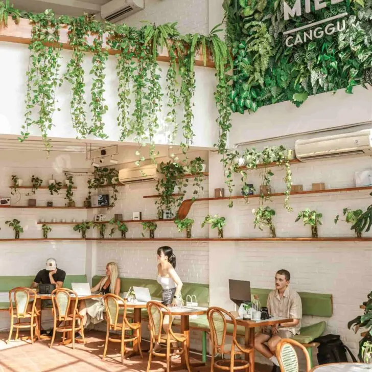 Green and white interiors with loads of natural light