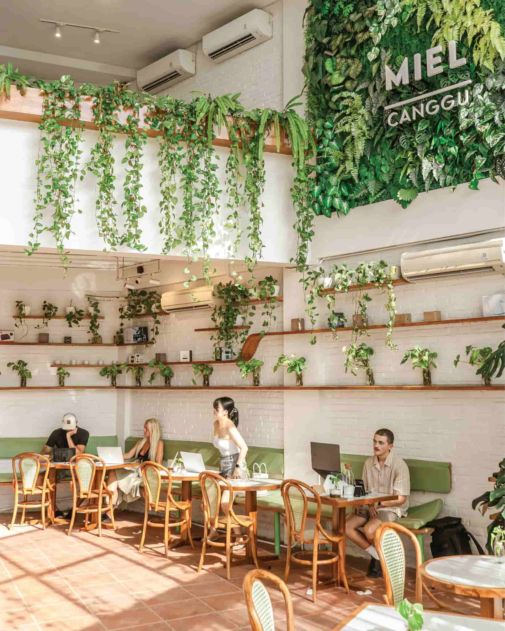 Green and white interiors with loads of natural light