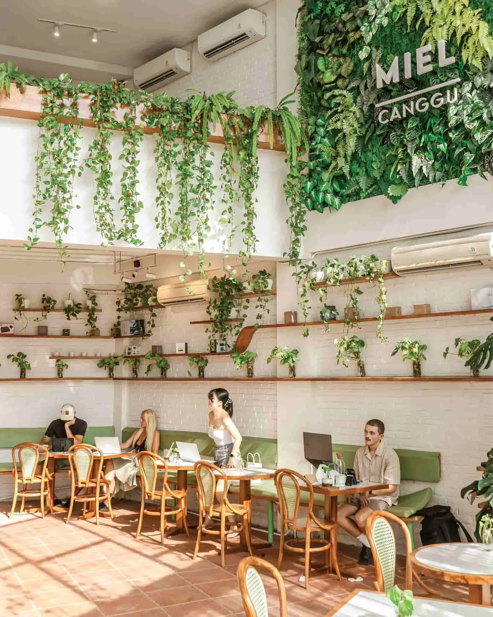 Green and white interiors with loads of natural light