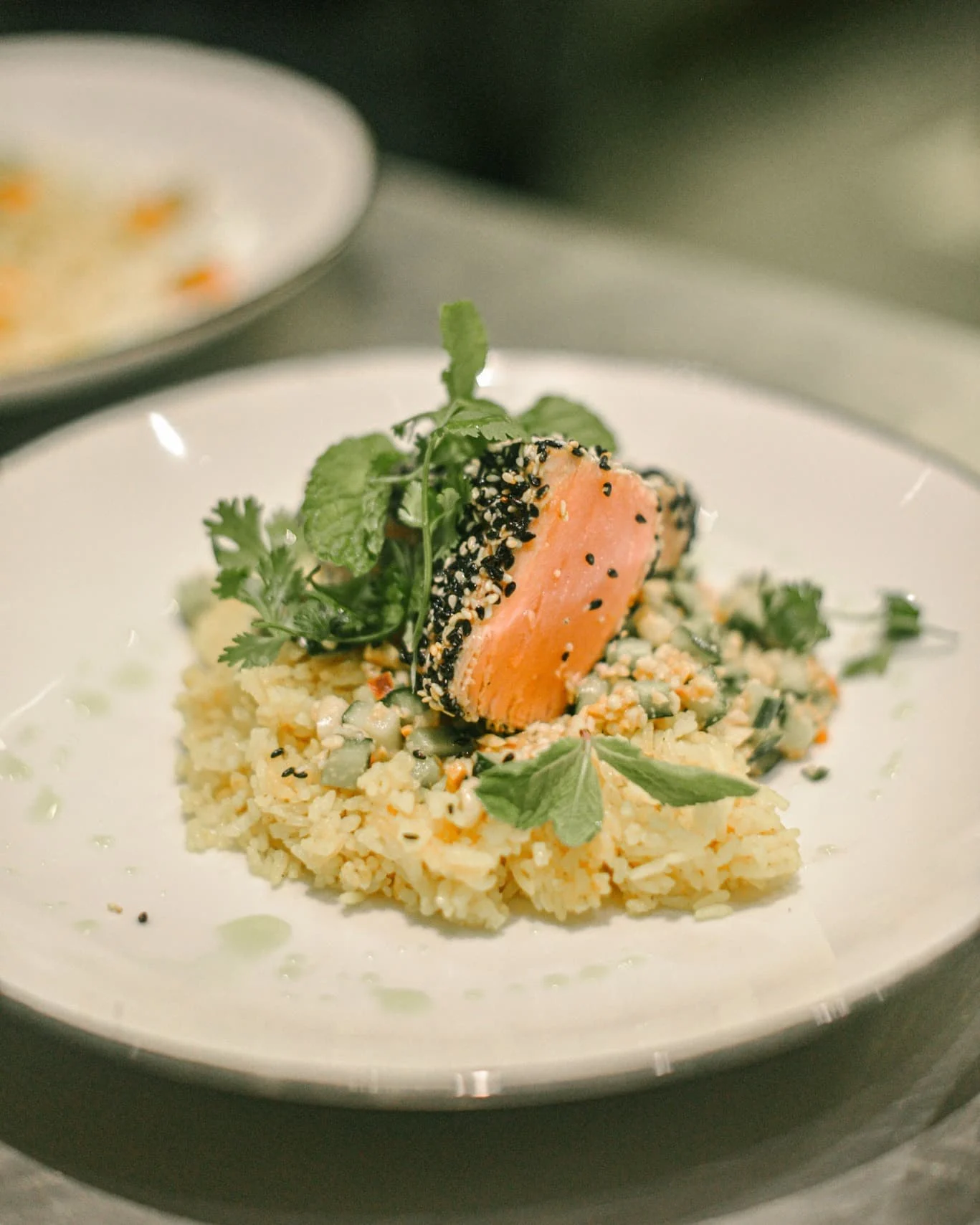 Seared salmon with seaseme crust