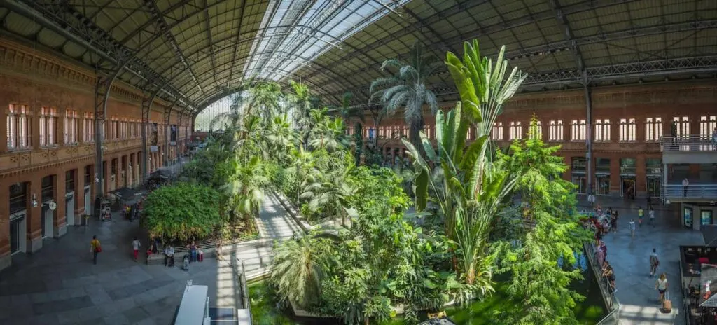 madrid atocha station is the center of the spanish high speed rail network and has a botanical garden