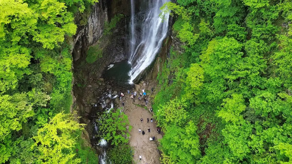 an aerial view of a waterfall surrounded by trees in adjara georgia