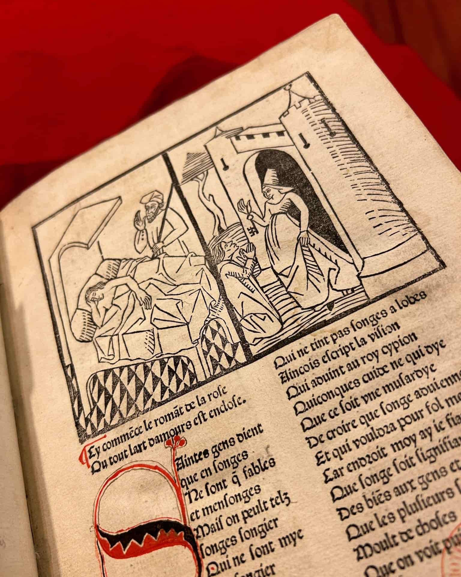 Example of antiquye book inside Bibliotheque Nationale de France