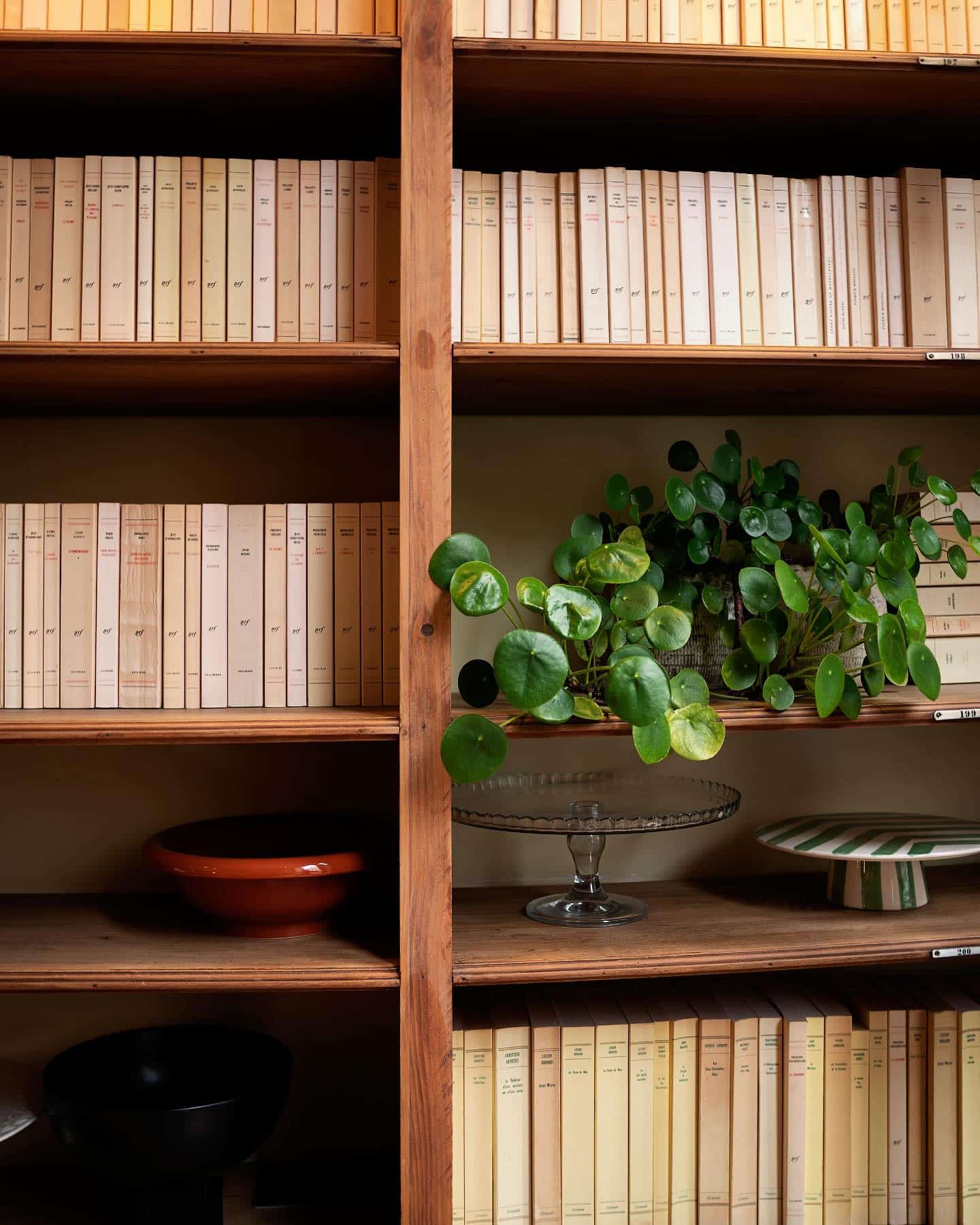 literary coffee shop in a former book store