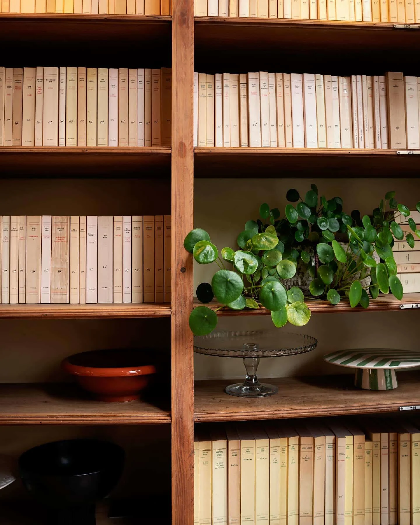 literary coffee shop in a former book store