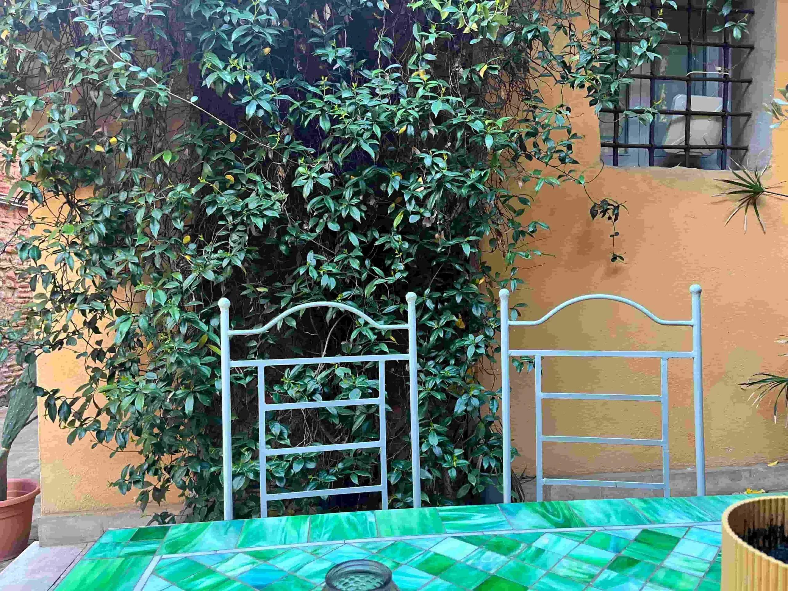 The Secret Courtyard's outdoor courtyard area