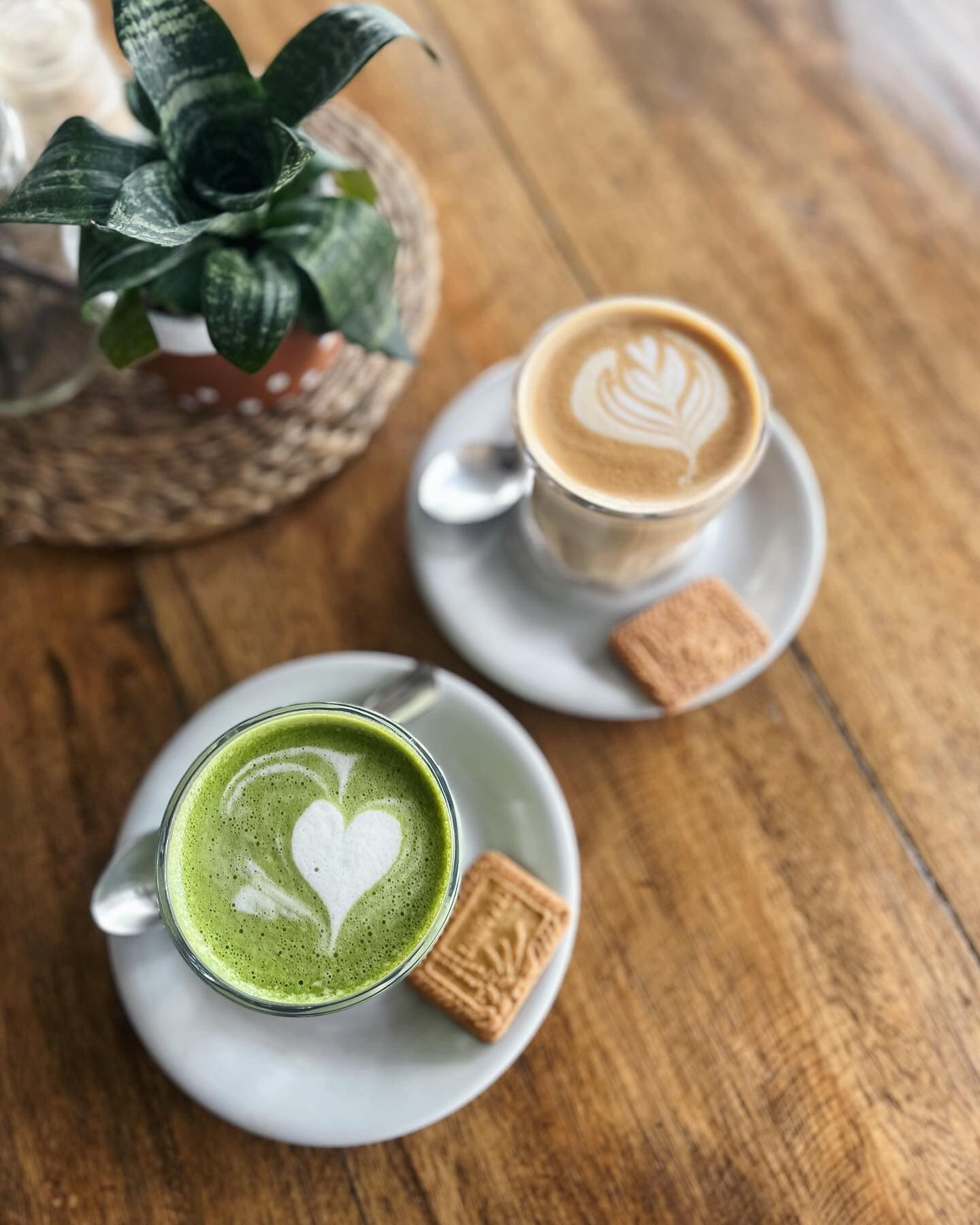 Matcha and latte with Biscoff biscuits