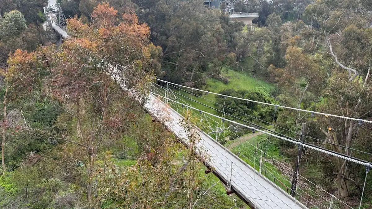 spruce street suspension bridge crosses kate sessions canyon in san diego california usa