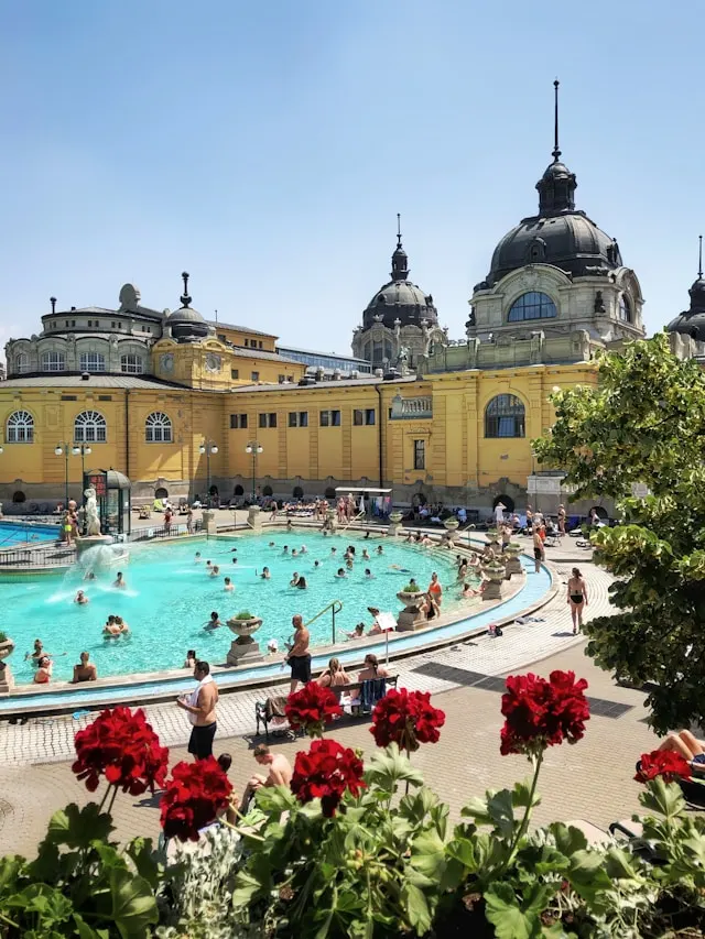bathers in front of a yellow bathhouse at a thermal hot baths in budapest hungary with red roses in the foreground
