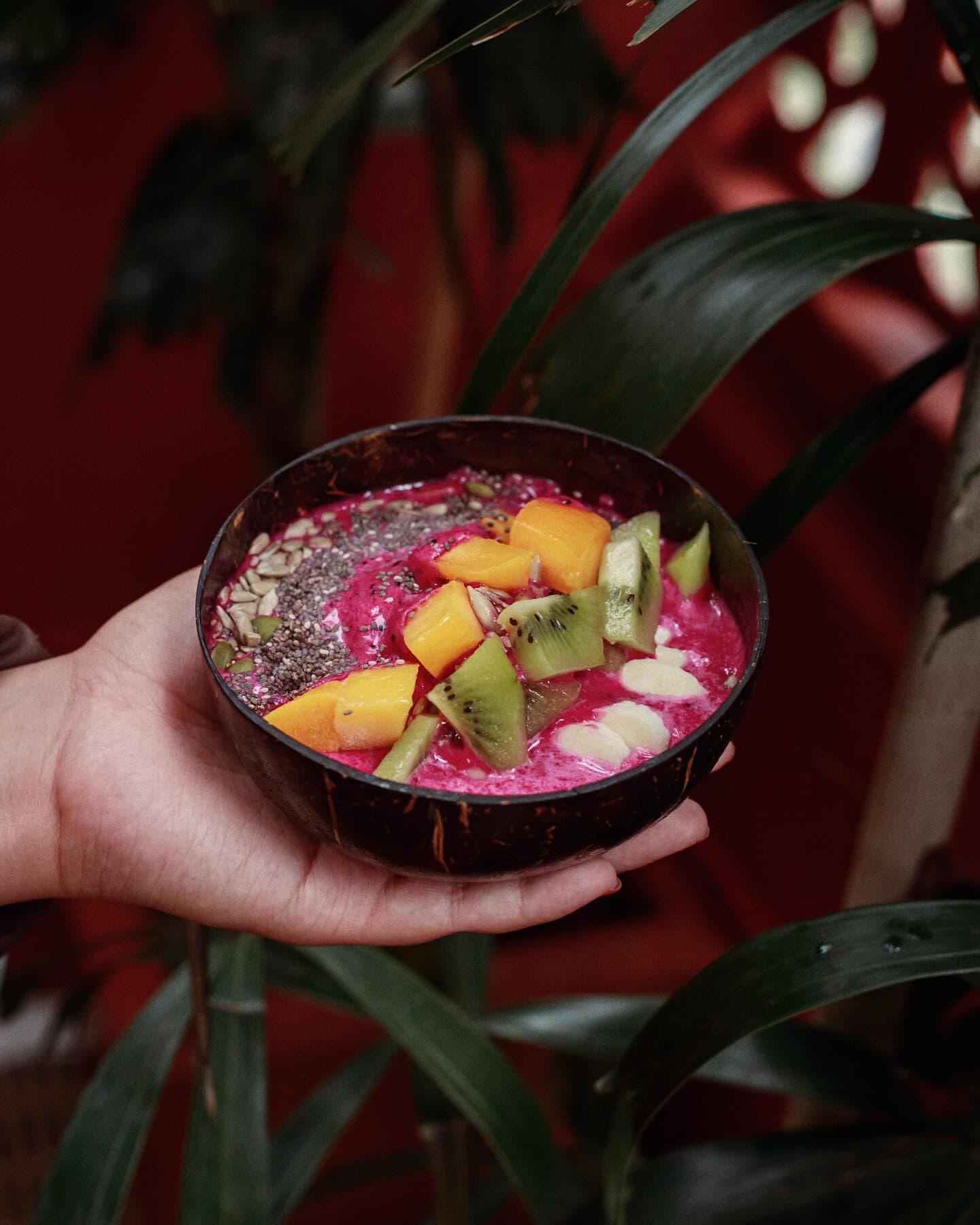 Smoothie bowl-RED PITAYA DISTRICT with neem