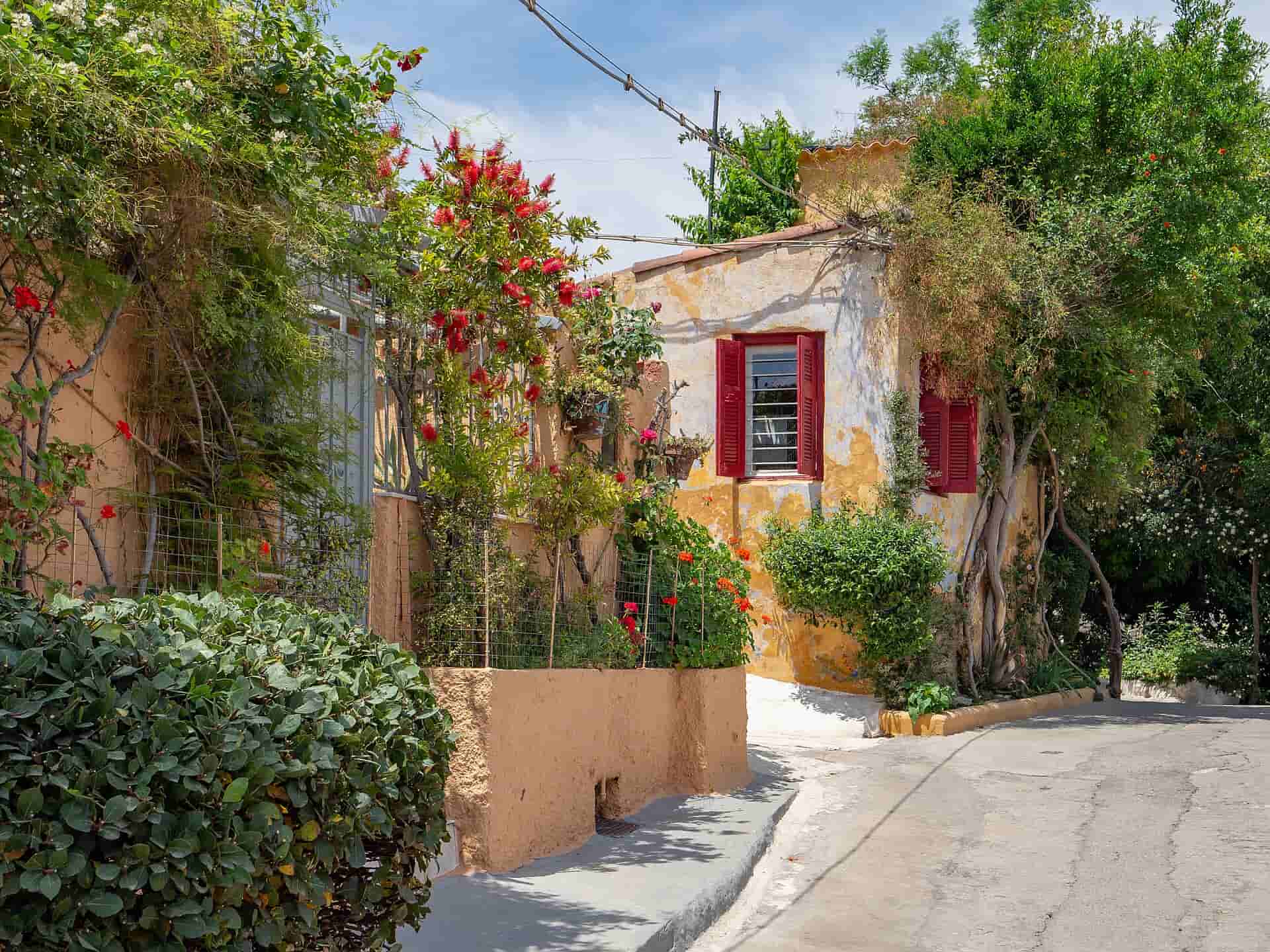 Picturesque homes and buildings covered in flowers and greens in Anafiotika village