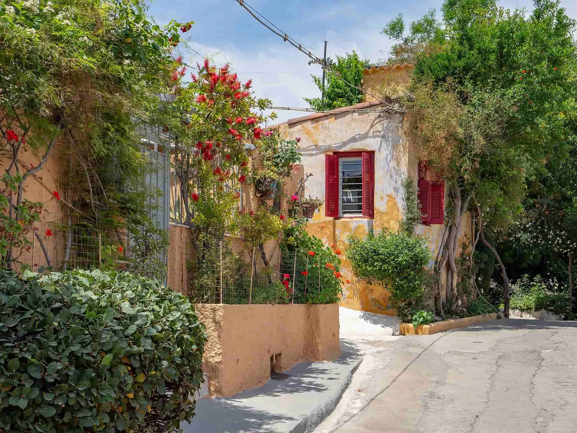 Picturesque homes and buildings covered in flowers and greens in Anafiotika village