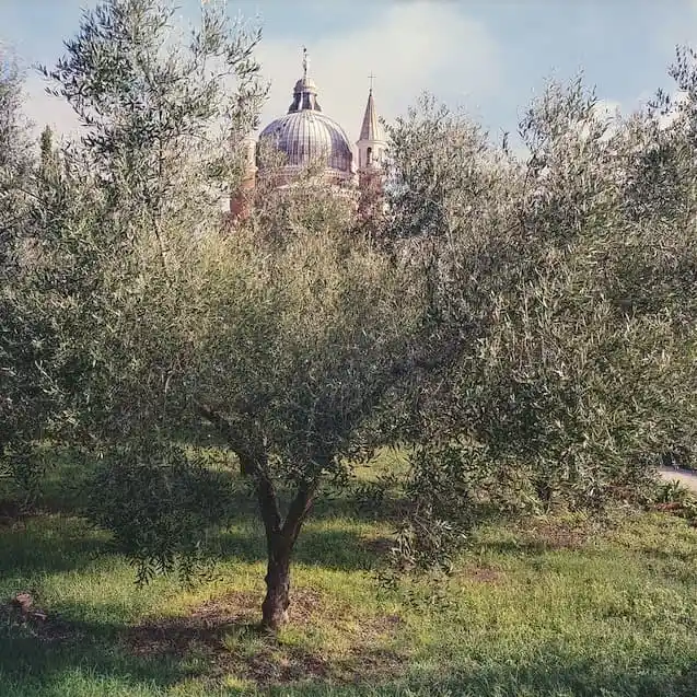 Landscape within the gardens