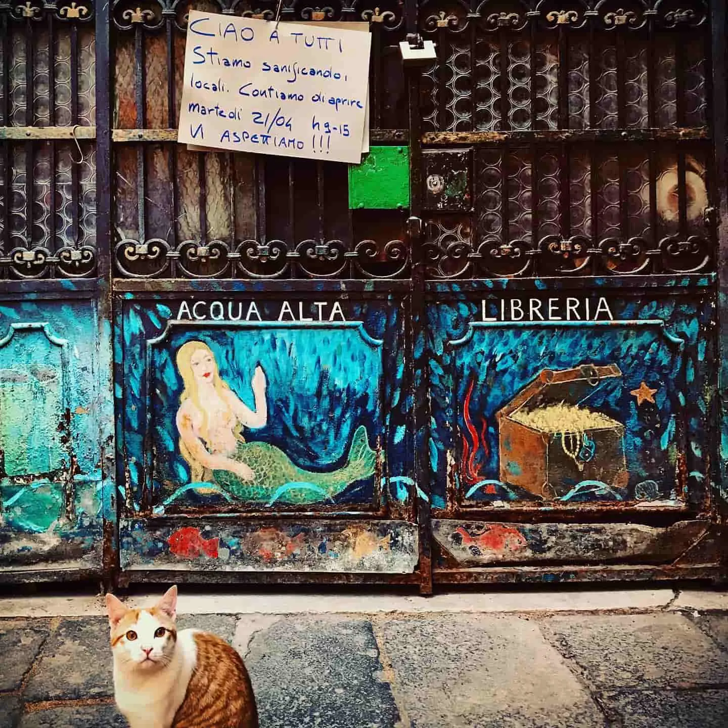 Entrance of the bok shop displaying mermaid and treasure motifs