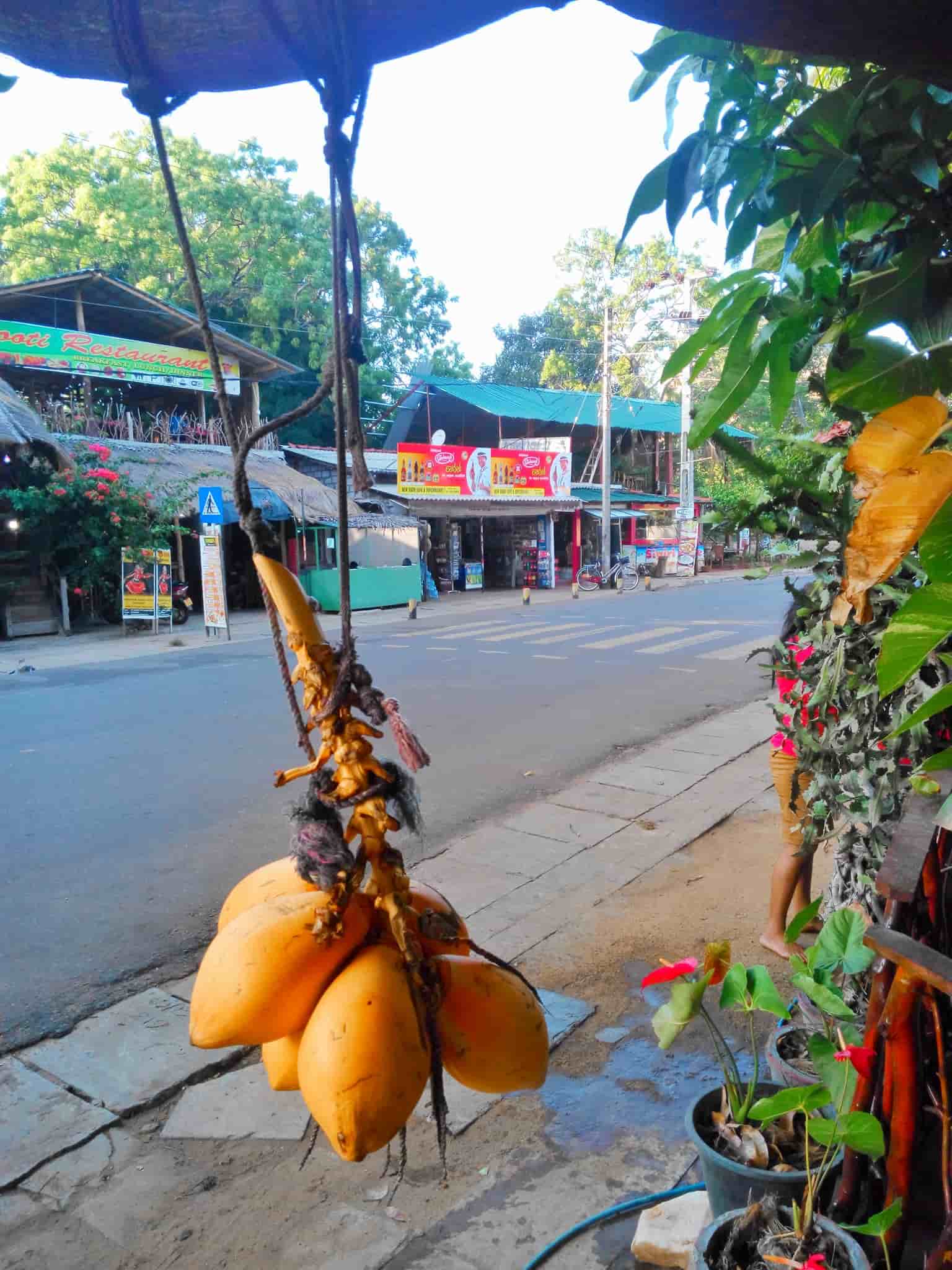A view of Alloro Chooti restaurant from the road opposite