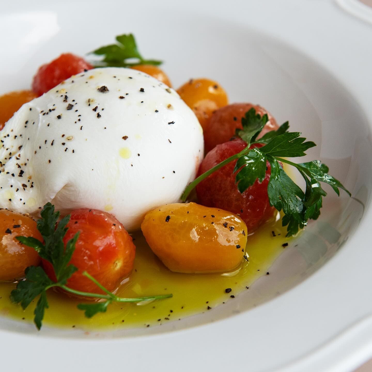 Burrata and baby tomato salad