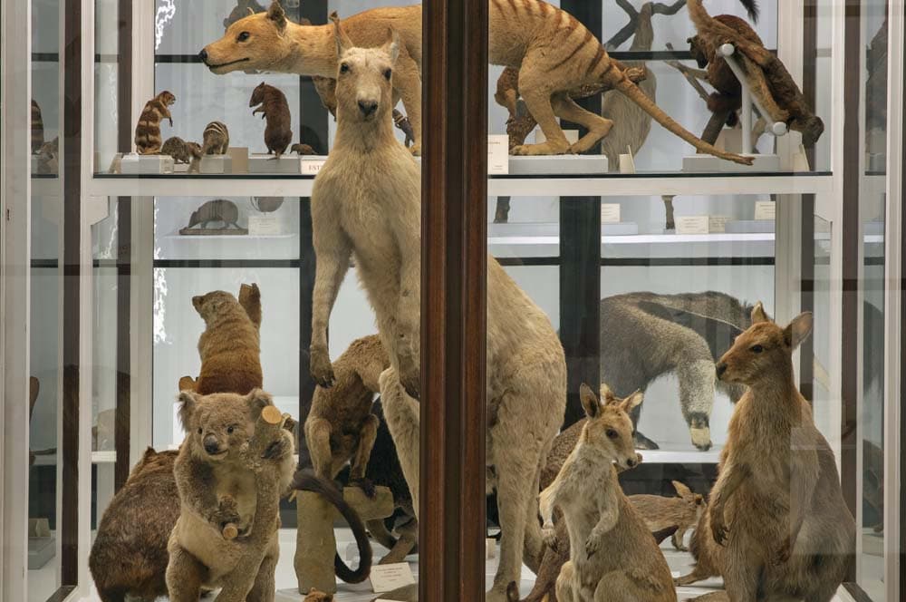 Displays at the historical museum