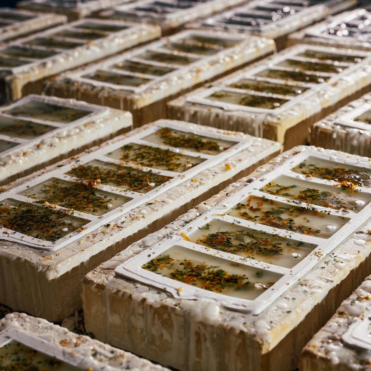 Wax slabs with dried flowers and herbs
