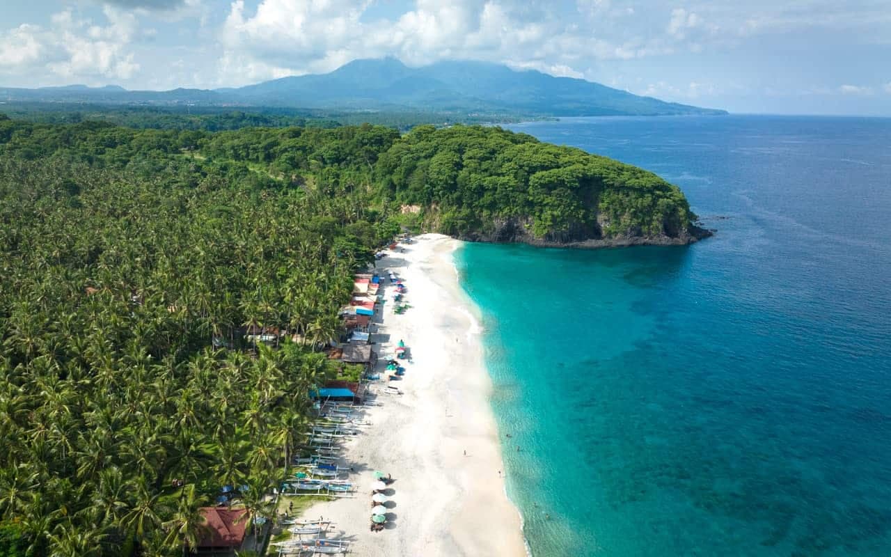 This beach is surrounded by a thicket of palm trees