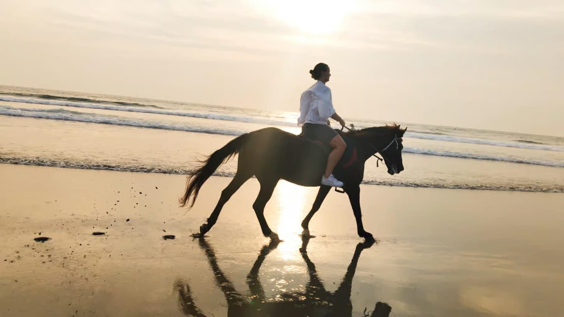 Horse ride along the shore