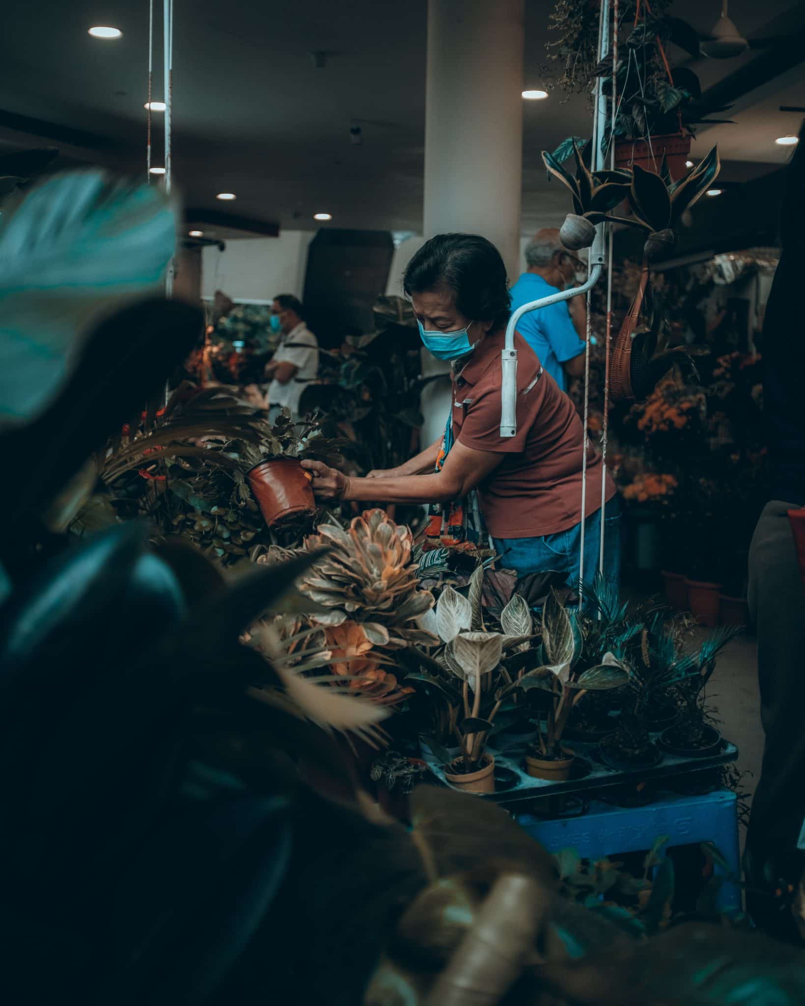 Stall selling fresh plants at this wet market