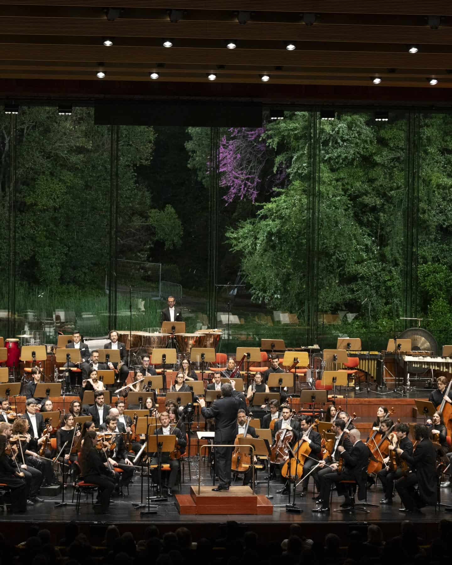 Orchestra show at the museum