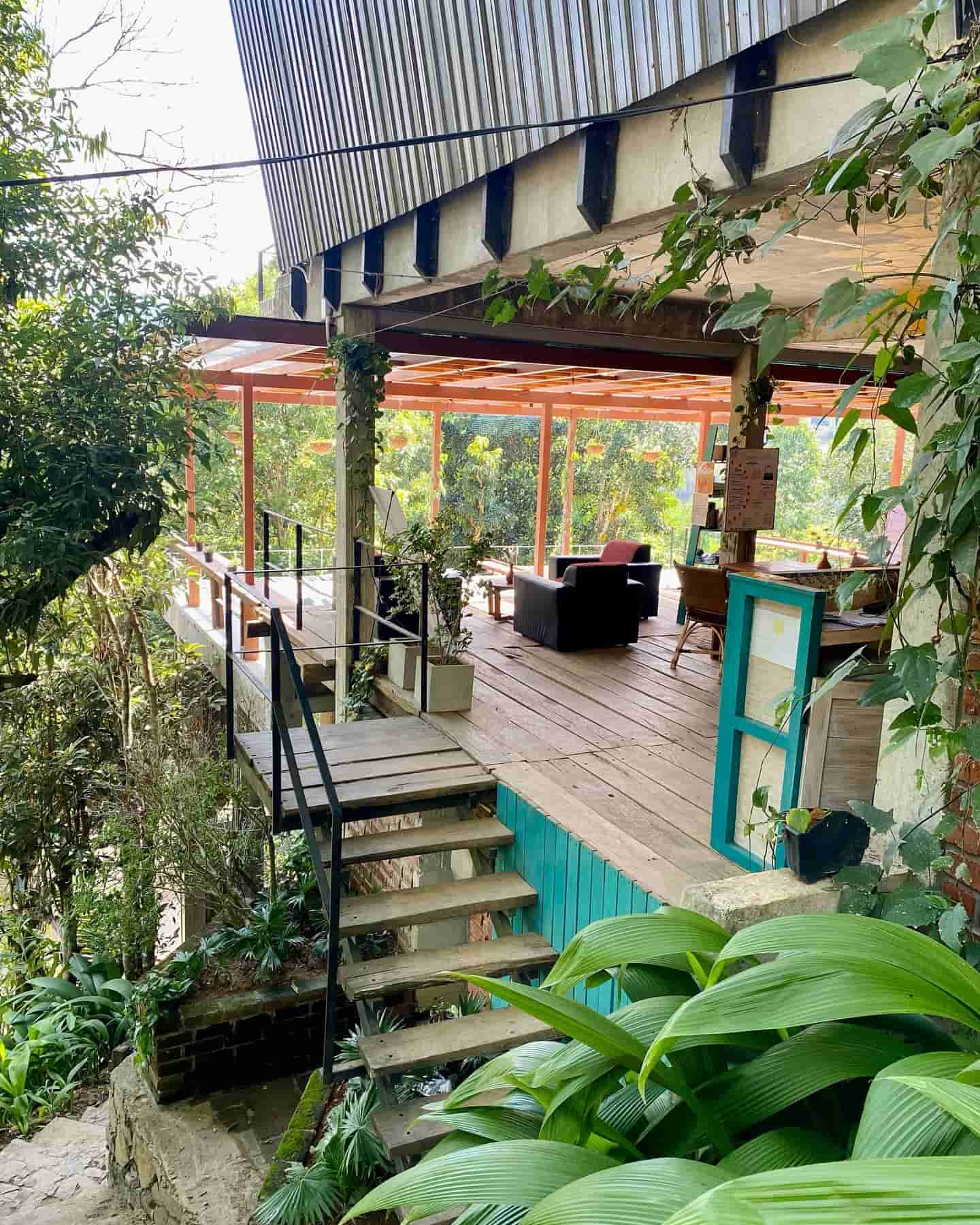 Pathway covered in greens leading to the cafe