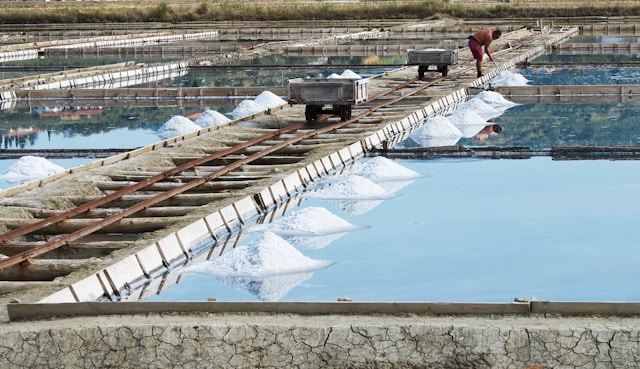 a man working on a salt evaporation pond at secovlje saltworks in slovenia