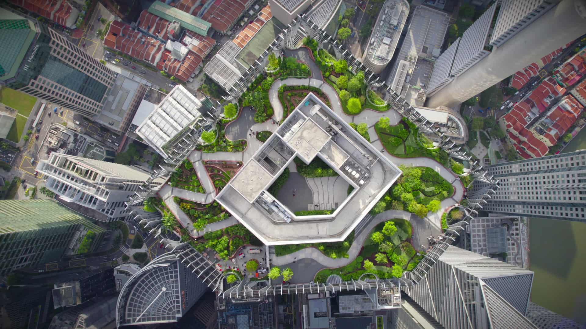 Drone view of the urban rooftop garden