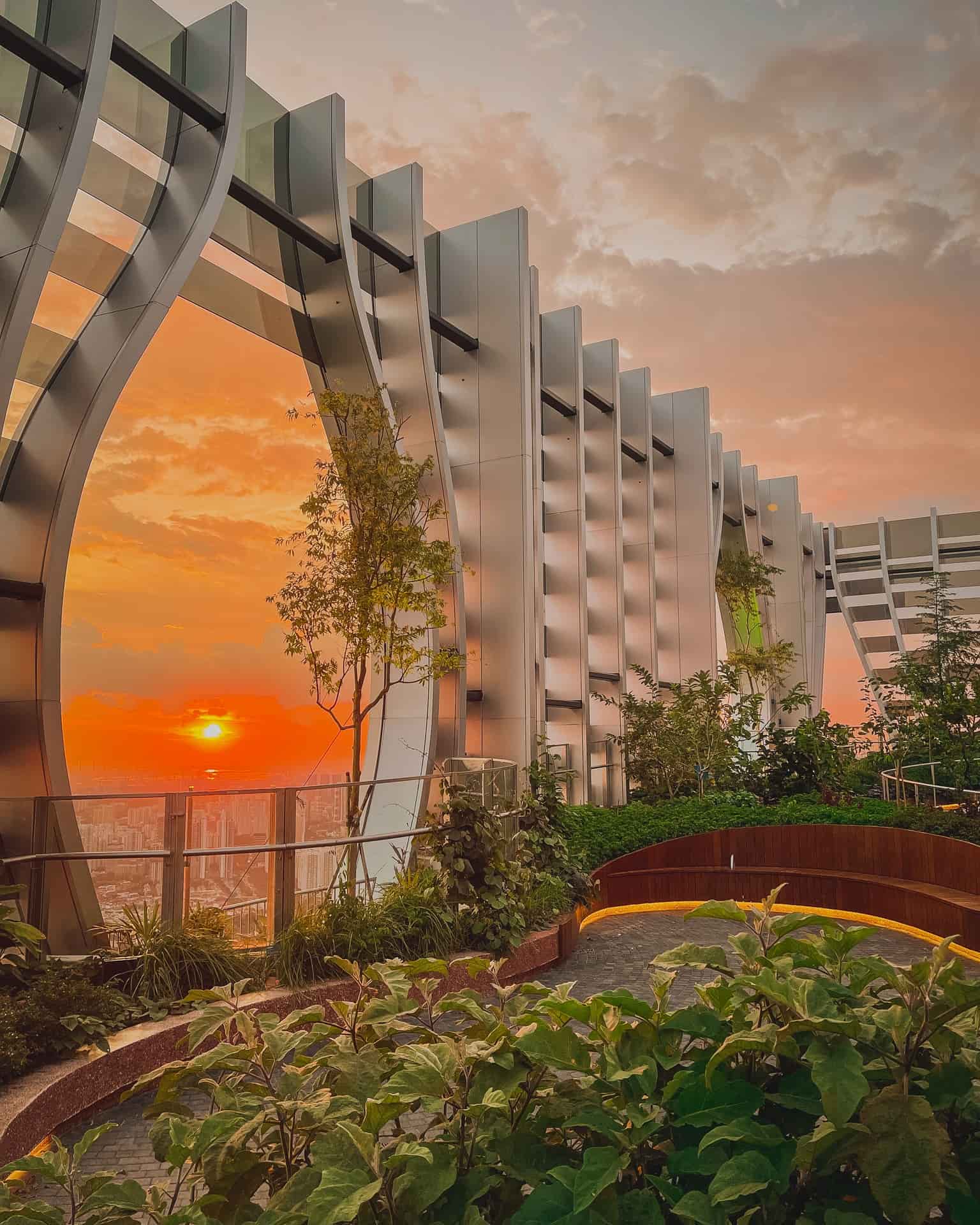 Sunset from the Food Forest