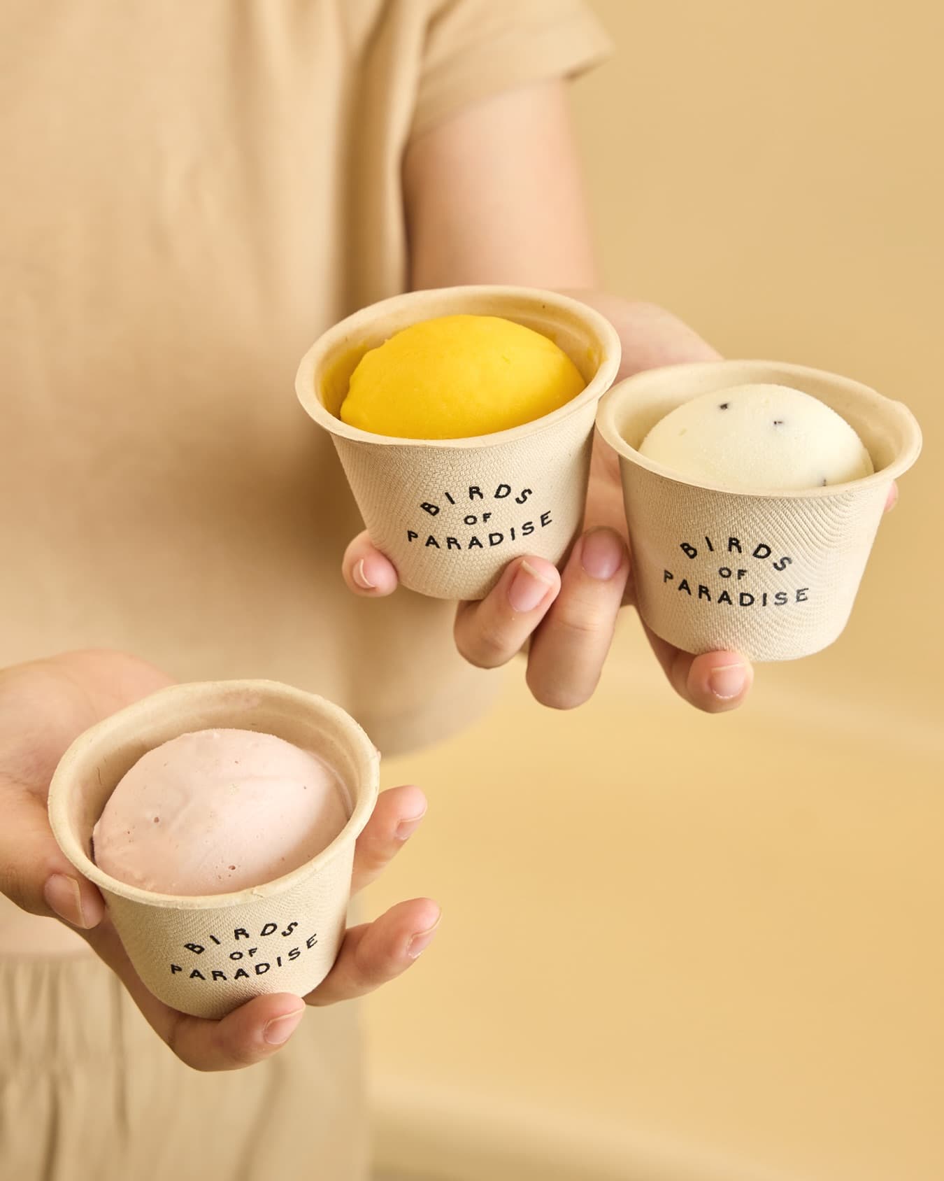 A selection of botanical-infused gelato